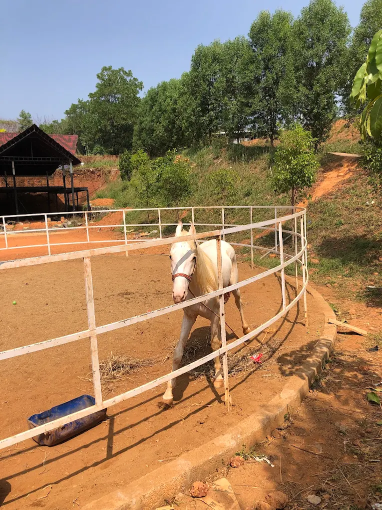 Straightpath International School, Panakkad