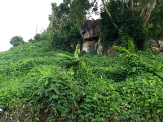 unnamed-2025-12-22T122504.859